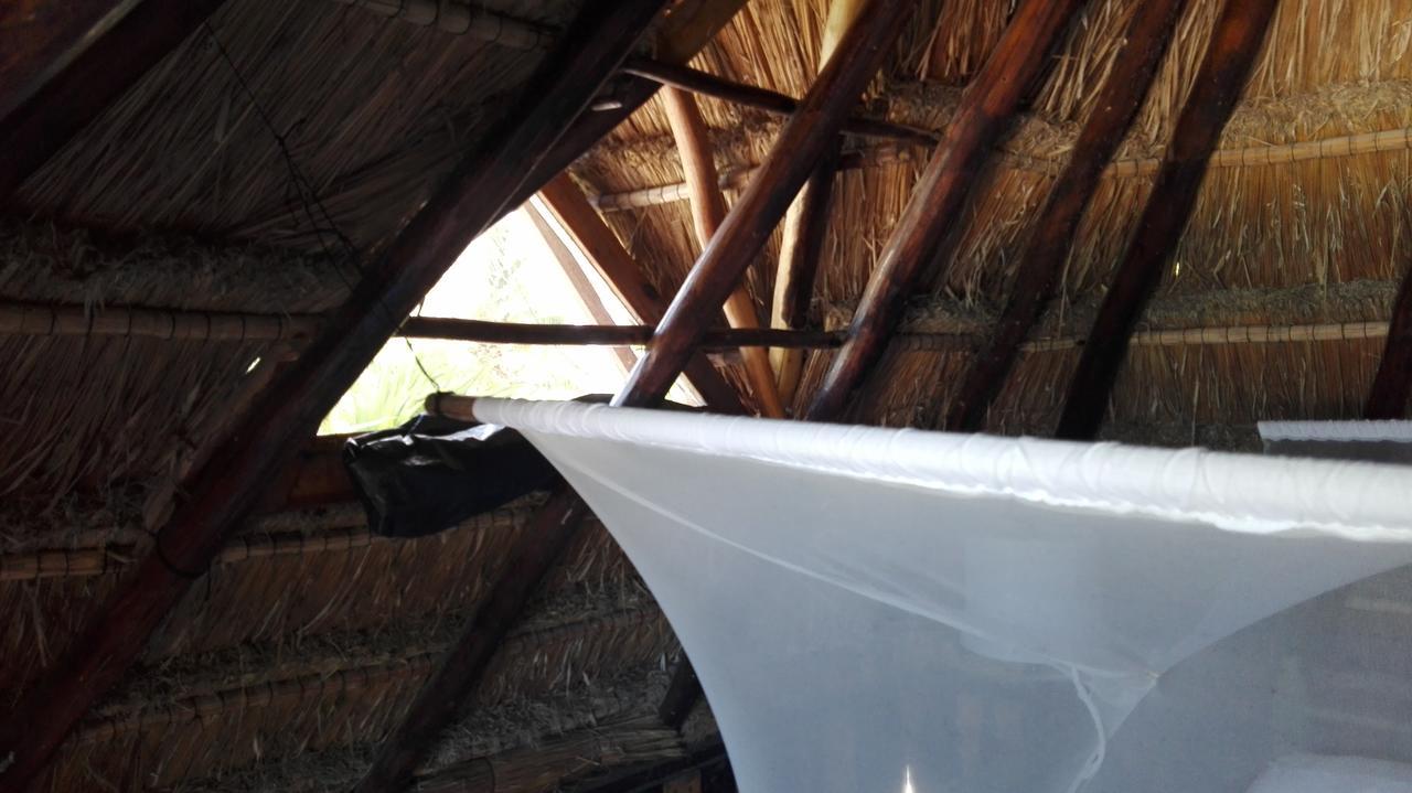 Eco Lodge Hotel Villa Tulum Exteriör bild